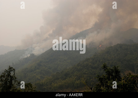 Burning forest being cleared to plant crops by villagers near Phongsaly Laos Stock Photo