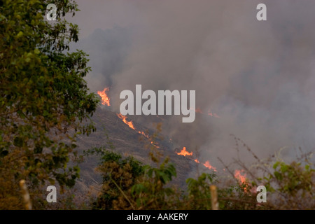 Burning forest being cleared to plant crops by villagers near Phongsaly Laos Stock Photo