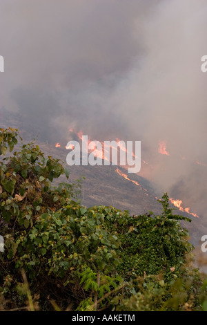 Burning forest being cleared to plant crops by villagers near Phongsaly Laos Stock Photo