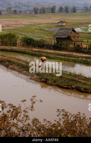 Landscape fields and mountains near Ou Thai Phongsaly province Laos ...