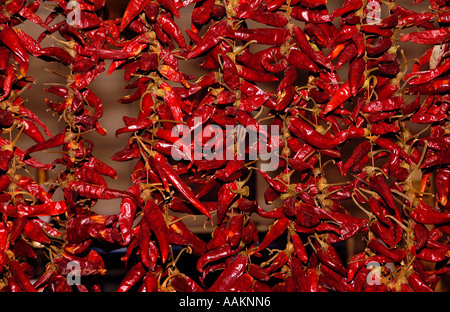 Dried Paprika Hot Peppers at Vasarcsarnok Main market hall Budapest Hungary Stock Photo