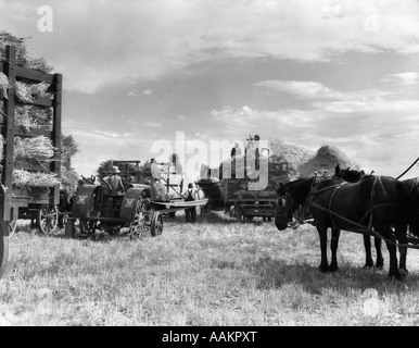 1940s HARVEST OATS LAUREL MONTANA HORSES WAGONS FARM HANDS WORKERS MACHINERY REAP REAPING GRAIN HAY STRAW FARMERS MEN CROP Stock Photo