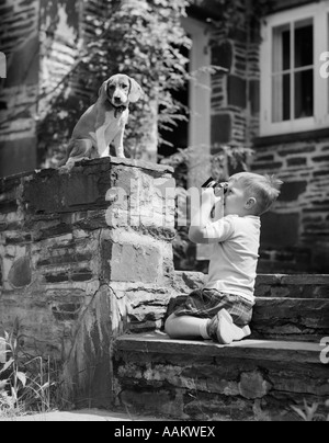 1950s YOUNG BOY KNEELING ON STONE SIDEWALK STAIRS FOCUSING CAMERA ON HOUND DOG PUPPY SITTING ON WALL Stock Photo
