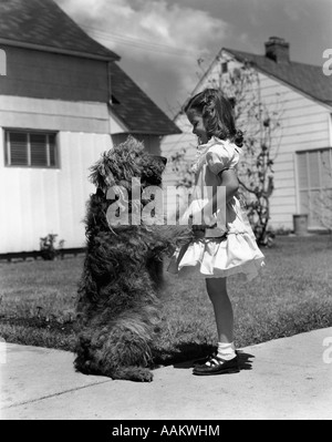 1950s GIRL ON SUBURBAN SIDEWALK HOLDING PAWS OF SHAGGY DOG Stock Photo