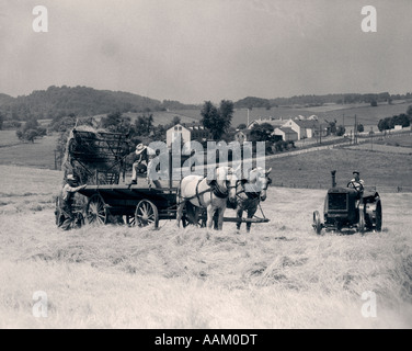 1930s PAIR OF MEN DUMPING HAY OFF OF BACK OF WAGON DRAWN BY TWO HORSES WITH MAN ON TRACTOR RIDING PAST THEM Stock Photo