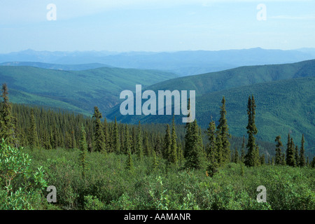 SUBARCTIC TAIGA IN OGILVIE MOUNTAINS YUKON TERRITORY CANADA Stock Photo