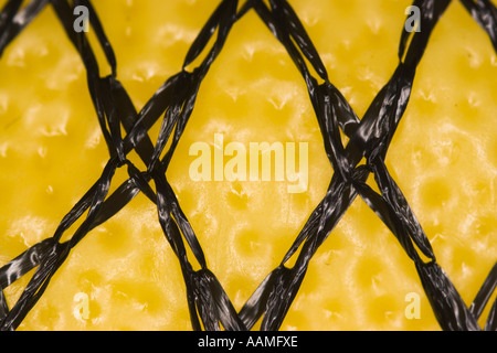 Extreme close up lemon Stock Photo