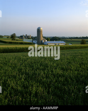 Contour strip farming corn and alfalfa hay Stock Photo - Alamy