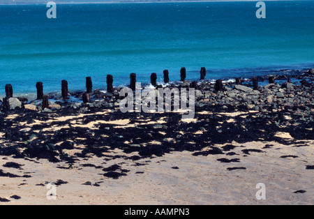 Supports remaining from the old pier, St Ives Cornwall, England UK Stock Photo