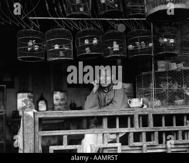 1920s 1930s SMILING CHINESE MAN BIRD VENDER SELLER IN SHOP WITH BIRDCAGES IN SHANGHAI CITY CHINA Stock Photo