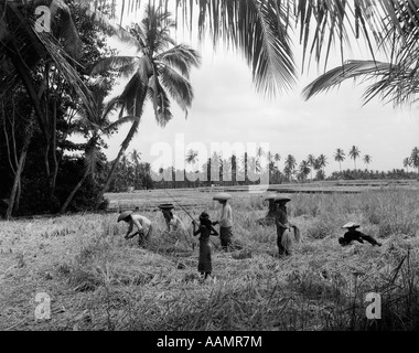 1920s-1930s-7-balinese-workers