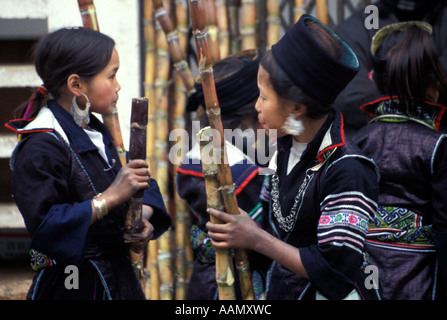 Hmong girls chewing sugar cane, Sapa, Tonkinese Alps, North Vietnam Stock Photo