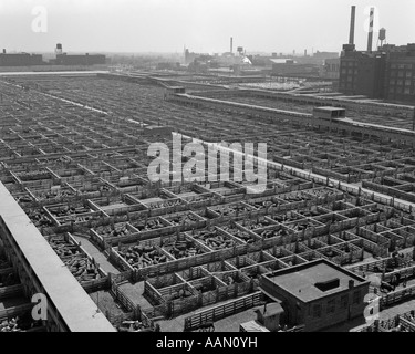 1950s CHICAGO STOCKYARDS AERIAL VIEW CATTLE PENS Stock Photo