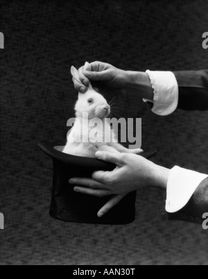 1930s MAGICIAN HANDS PULLING RABBIT OUT OF TOP HAT Stock Photo