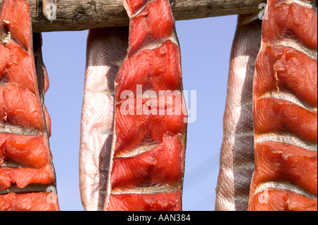 Salmon on drying racks Eskimo community of shishmaref Alaska Stock ...