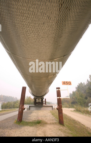 Trans Alaskan oil pipeline Fairbanks Alaska Stock Photo