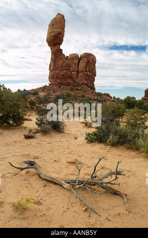 Balanced Rock (total height 128 feet - 39 meters). Arches National Park. Utah State. USA Stock Photo