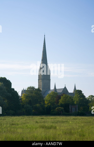 Salisbury Cathedral from across Harnham Water Meadows Wiltshire England Stock Photo
