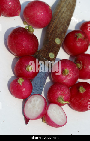 Radish cut in half on plate with knife Stock Photo