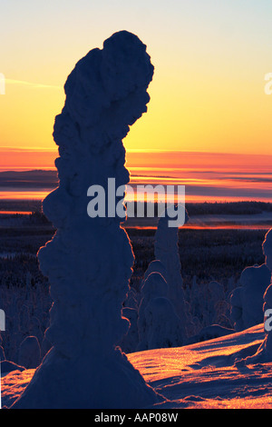 dawn tones in Kuusamo, Finland, Oulu Stock Photo