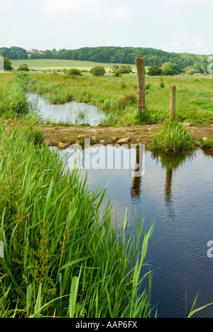 Drainage ditch in Combe Haven Valley SSSI between Bexhill and Hastings East Sussex England UK Britain Stock Photo