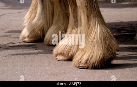 Feet Stock Photo