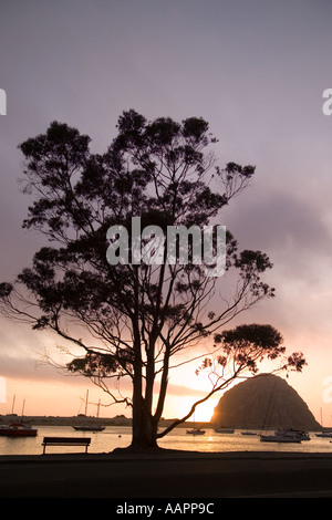 Morro Bay Cailfornia sunset Stock Photo