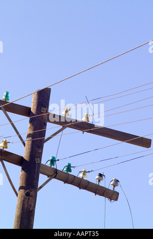 vintage telephone lines Stock Photo - Alamy