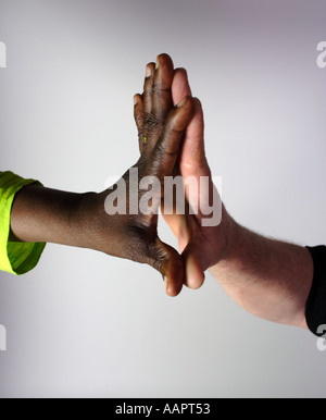 Idyllic multiracial image of two adult hands one black and one white Stock Photo