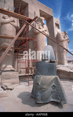 Mortuary temple of Ramses II The Ramesseum Reconstruction work in progress Head of Ramses II Thebes West Luxor Egypt Stock Photo