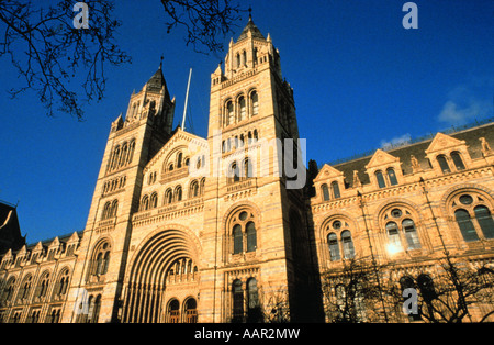 The Natural History Museum London Stock Photo
