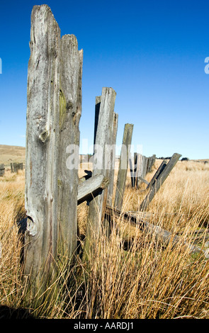 Guardians. Remaining old, weathered timbers of a fence looking like sentinels of the land Stock Photo