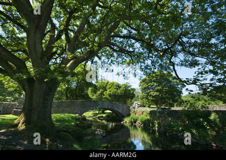 Bridge over Rydal Beck, Rydal, Lake District National Park, Cumbria, England, UK Stock Photo