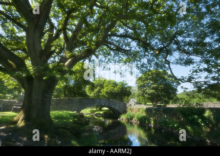 Soft Focus of Bridge over Rydal Beck, Rydal, Lake District National Park, Cumbria, England, UK Stock Photo