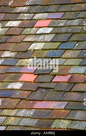 Multi Coloured Roof Tiles. Stock Photo