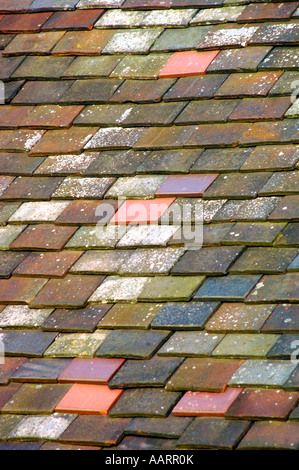 Multi Coloured Roof Tiles. Stock Photo