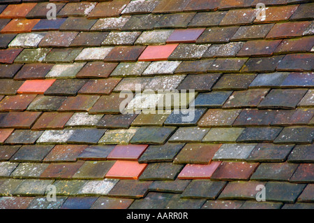 Multi Coloured Roof Tiles. Stock Photo