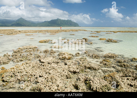 Ahu O Laka area of Kaneohe Bay, Oahu, Hawaii Stock Photo