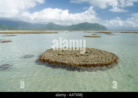 Ahu O Laka area of Kaneohe Bay, Oahu, Hawaii Stock Photo