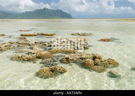 Ahu O Laka area of Kaneohe Bay, Oahu, Hawaii Stock Photo