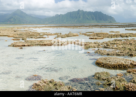 Ahu O Laka area of Kaneohe Bay, Oahu, Hawaii Stock Photo