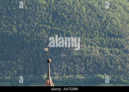 weathervane on the top of a turret. Coldrano Castle, Alto Adige, Italy Stock Photo