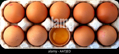Box of ten eggs with one cracked egg on white background. Cutout Stock