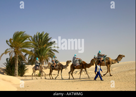 guide leading tourists on camels past palm trees in the sahara desert at Douz Tunisia Stock Photo