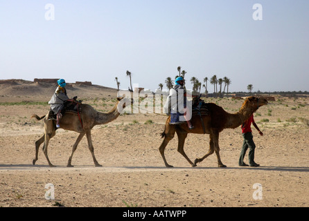 two tourists on the back of camels being guided out of the sahara desert at Douz Tunisia Stock Photo