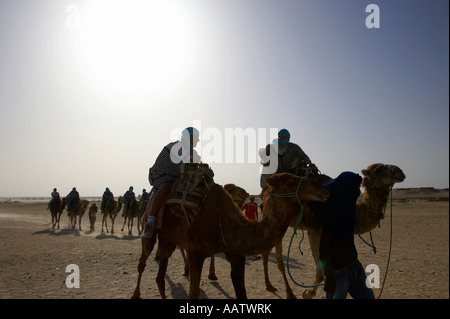 tourists talking in the blaze of hot sun on camels in the sahara desert at Douz Tunisia Stock Photo