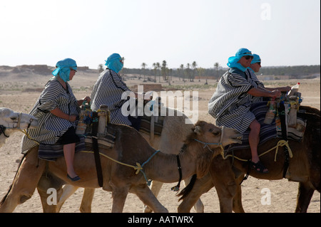 close up of british tourists on camel back in the sahara desert at Douz Tunisia Stock Photo