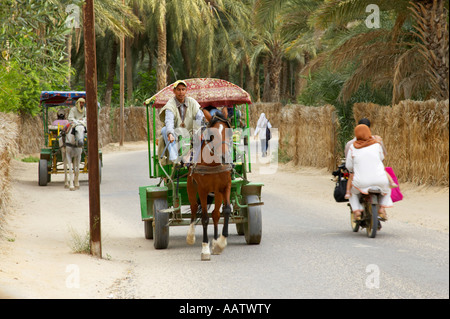 tourists on horse drawn carriage tour of streets through oasis in Tozeur tunisia Stock Photo
