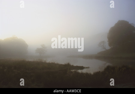 River Brathay in Morning Mist Lake District National Park Cumbria Stock Photo