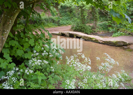 The ford and clapper bridge over the infant River Windrush in the Cotswold village of Kineton, Gloucestershire Stock Photo